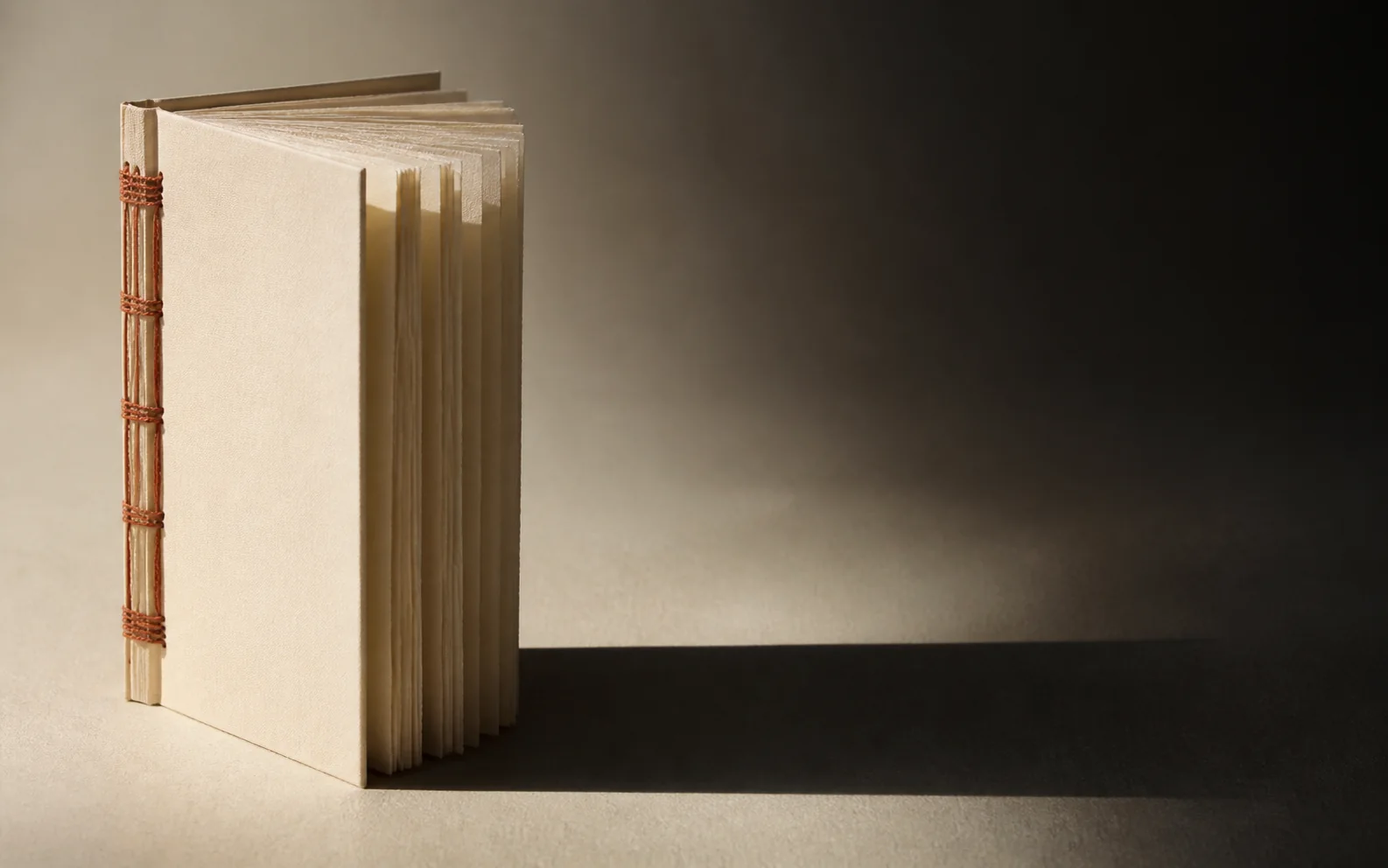 A blank hand-bound book standing upright in a low light, its cream cover unmarked and its terracotta stab binding left exposed along the spine.